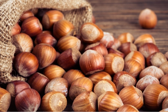 TMO'dan 'kabuklu fındık' açıklaması: Satışımız ve hazırlığımız bulunmamaktadır