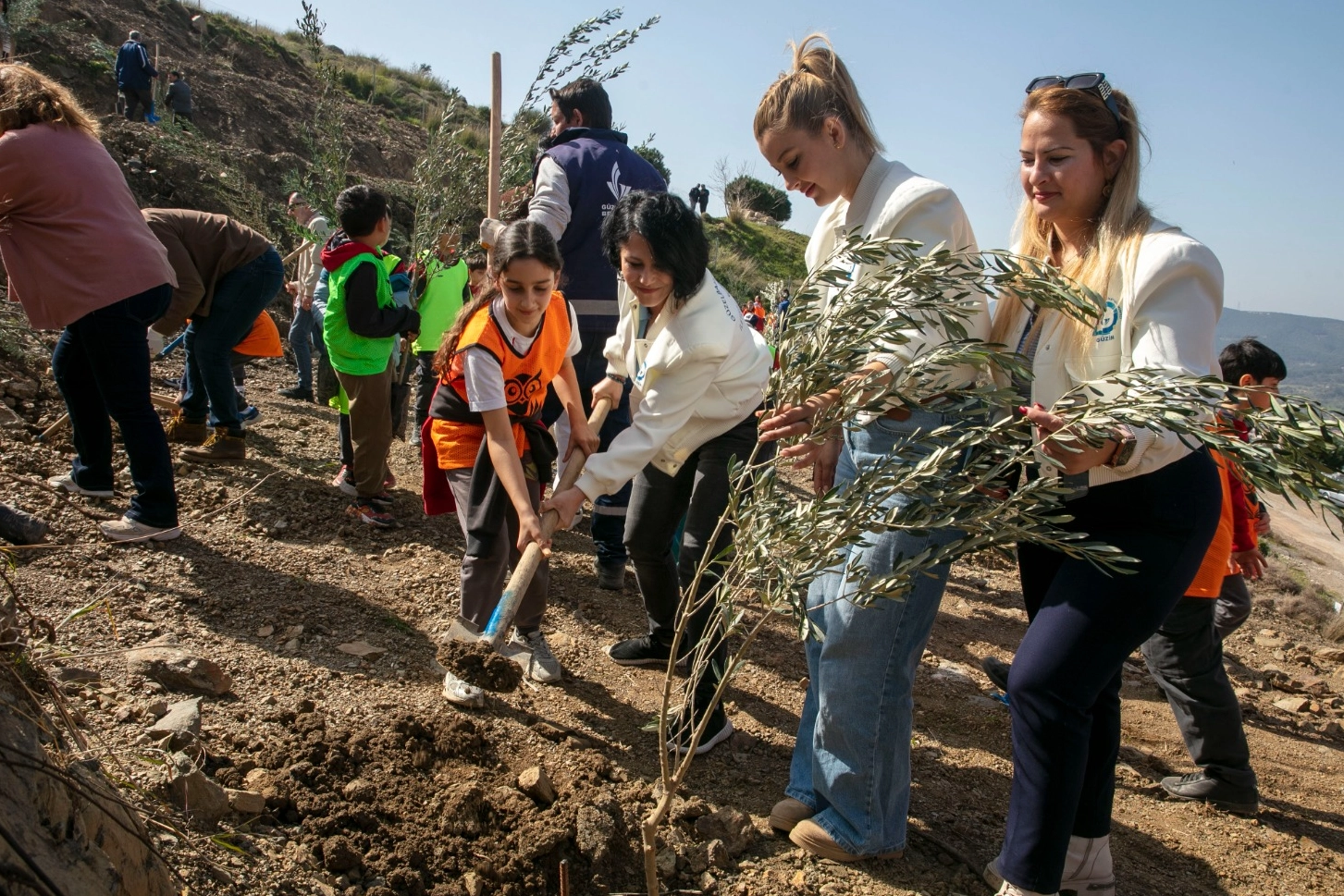 İzmir Güzelbahçe’de 1000 zeytin fidanı toprakla buluştu