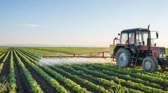 Tarım Kredi Kooperatifleri: Çiftçilere Destek ve Güç Birliği